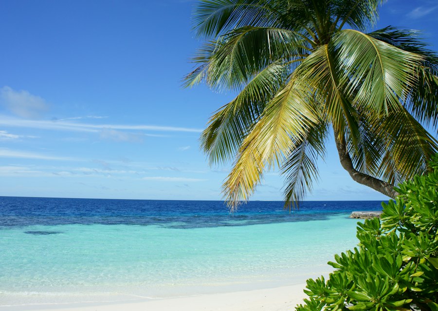 Viajes a Caribe